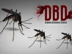 Kota Pariaman Hadapi Peningkatan Kasus DBD, Dinas Kesehatan Lakukan Fogging