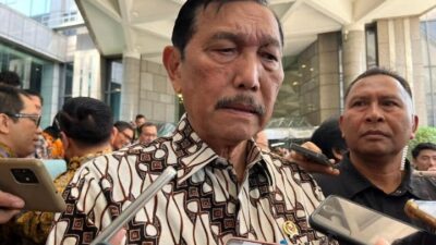 Luhut ungkap Jokowi pernah ditekan banyak pihak karena aturan nikel