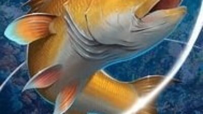 Kail Pancing, Game Simulasi Memancing Populer dengan Versi Modifikasi