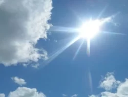 Cuaca Panas Ekstrem, Korea Selatan Catat Kematian 21 Orang dan Kerugian Hewan