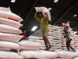 Stabilisasi Stok dan Harga, Bulog Akan Impor Beras untuk CBP dan SPHP