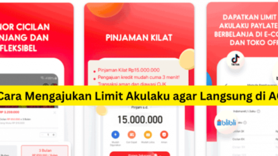 Perbedaan Pinjaman Tunai dan PayLater di Akulaku