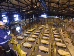 Karir di Industri Tambang, PT Freeport Indonesia Cari Engineer, Analyst, dan Posisi Lain