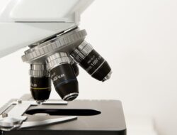 Penelitian Terbaru, Mikroskop Elektron Transmisi Paling Cepat