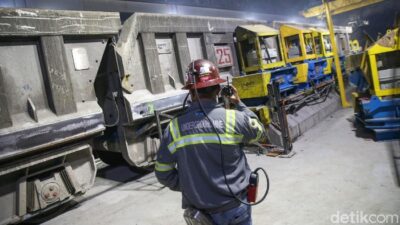 Segera Daftar! PT Freeport Indonesia Cari Lulusan Baru dari Berbagai Jurusan