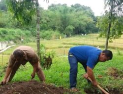 Petugas Kebersihan Solok Terapkan Biopori untuk Resapan Air