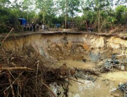 Penambangan Ilegal di Ketapang, Kerugian Negara Akibat Aktivitas Tanpa Izin