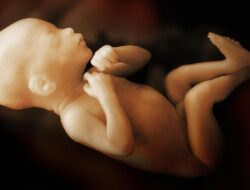 Menteri Kesehatan, Angka Kematian Bayi Tinggi, Perlu Rumah Sakit Ibu dan Anak Baru