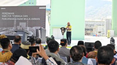 Harta Kekayaan Hilmi Panigoro