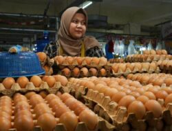 Tujuh Komoditas Turun Harga di Pasar Padang Panjang