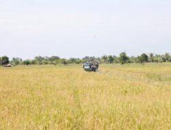 Ekspor Pertanian Indonesia Meningkat, Surplus Neraca Perdagangan Mencapai USD21,98 Miliar