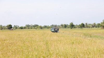 Sektor pertanian Indonesia terus menunjukkan performa yang gemilang.