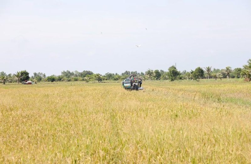 Sektor pertanian Indonesia terus menunjukkan performa yang gemilang.