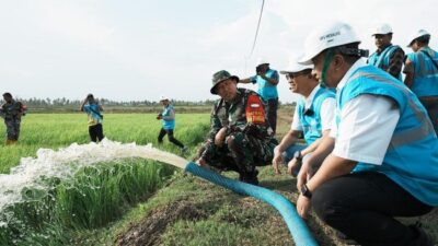 PLN Sediakan Pompa Listrik untuk Tingkatkan Produktivitas Petani