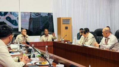 Ekstensifikasi Lahan Pertanian, Kunci Peningkatan Produksi Beras di Indonesia