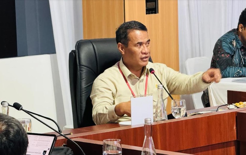 Mentan klaim sudah miliki blueprint swasembada pangan