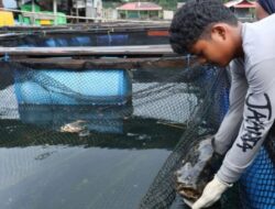 Belum Ada Realisasi Carbon Capture Storage di Mentawai