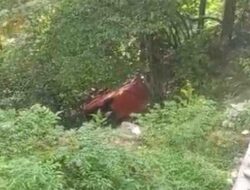 Truk Batu Bara Terjun ke Jurang Sitinjau Lauik, Polisi Selidiki Penyebabnya