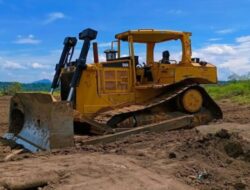 335 Hektare Lahan Pertanian di Tanahdatar Dioptimasi