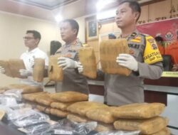 Polres Pasaman Barat Gagalkan Peredaran 30 Kg Ganja