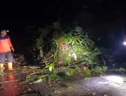 24 Kendaraan Terjebak Akibat Longsor di Pasaman