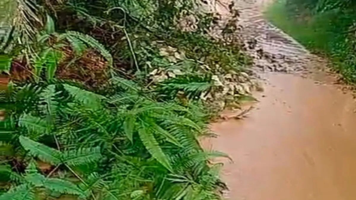 Longsor Bancah Laweh