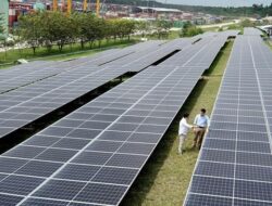 Indonesia dan Laos Jadi Target Produksi Baru Panel Surya China