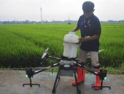 Pemerintah Dorong Pendapatan Petani Milenial Hingga Rp10 Juta