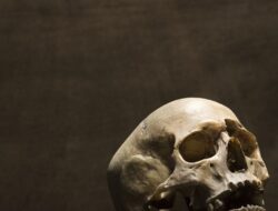 Kerangka Manusia Ditemukan di Loteng Rumah di Erstroff, Penyebab Kematian Diselidiki