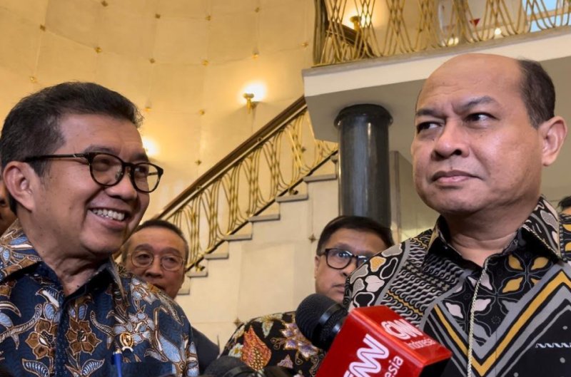 Cakupan Kerja BPI Danantara