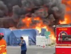 Pabrik Pakan Ternak Terbakar, 9 Korban Jiwa Ditemukan