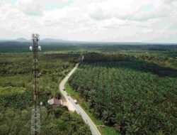 Hasil Uji Coba Telkomsel, Latensi Gaming Turun 47%, Buffering Video Berkurang 15%