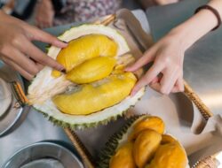 Durian Aman Dikonsumsi Ibu Hamil, Ini Khasiatnya