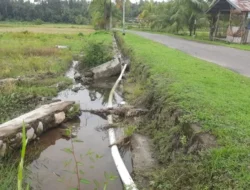 Kota Pariaman Usulkan Perbaikan Irigasi Melalui Dana Pusat