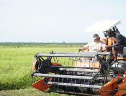 Indonesia Berhenti Impor Pangan Utama Mulai 2025