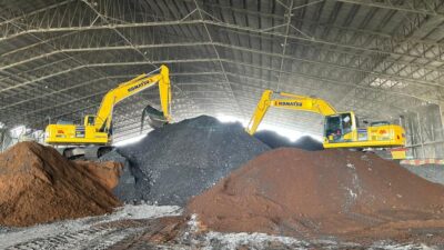 RI Sulap Tanaman Multifungsi Jadi Biomassa