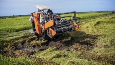 John Gluba Gebze: Lahan Tidur di Merauke Bisa Dikelola untuk Pangan