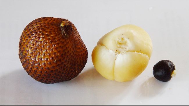Ada beberapa efek samping makan salak jika dikonsumsi berlebihan.