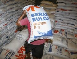Bulog Dapat Tugas Baru, Salurkan Minyakita untuk Kontrol Harga