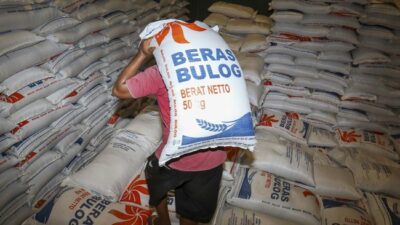 Bulog Dapat Tugas Baru, Salurkan Minyakita untuk Kontrol Harga