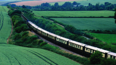 Kecelakaan Mengerikan di Sri Lanka, Turis China Tertimpa Dahan Pohon Saat Rekam Video