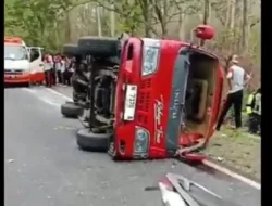 7 Pelajar Terluka Akibat Elf Terguling di Situbondo