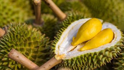 Ilustrasi buah durian.