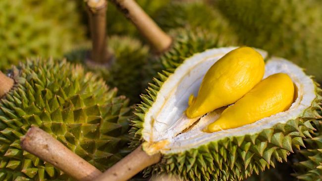 Ilustrasi buah durian.
