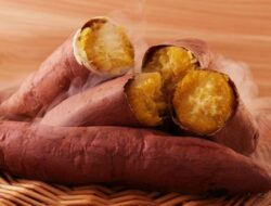 Kaya Nutrisi, Makanan Ini Bantu Tubuh Tetap Bertenaga