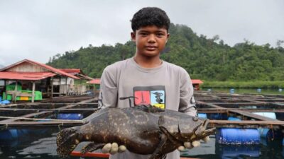 DPRD Sumbar, Sektor Perikanan Bisa Jadi Andalan Peningkatan Pendapatan Daerah