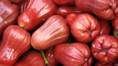 Ada beberapa manfaat makan buah jambu air.