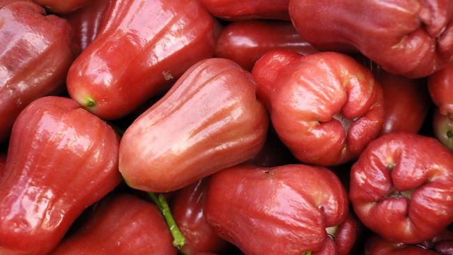 Ada beberapa manfaat makan buah jambu air.