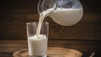 Kelor dan telur disiapkan untuk jadi pengganti susu dalam menu makan bergizi gratis (MBG).