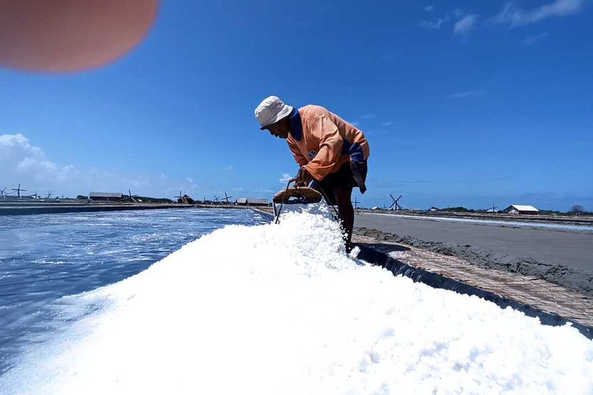 Kuota Impor Garam dan Jagung